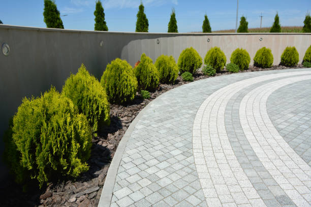 Best Driveway Pavers Contractor  in Romeovle, IL