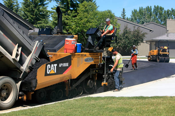 Best Paver Driveway Replacement  in Romeovle, IL